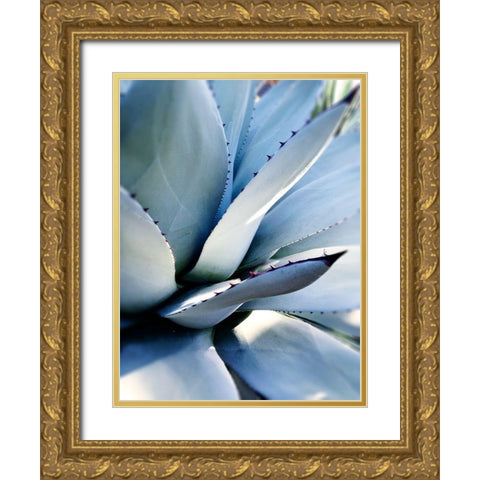 Giant Succulent I Gold Ornate Wood Framed Art Print with Double Matting by Wilson, Kali