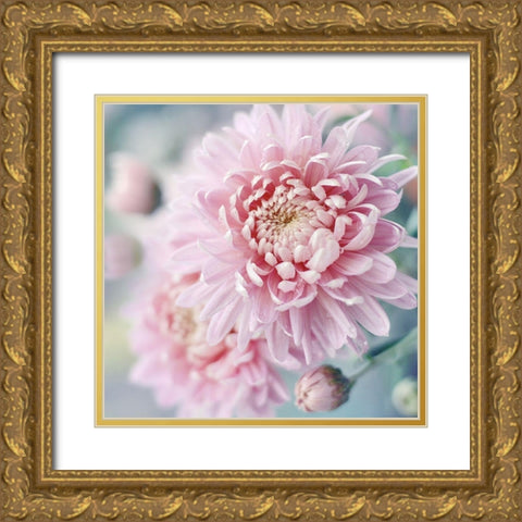 Romantic Blossom Gold Ornate Wood Framed Art Print with Double Matting by Gardner, Sarah