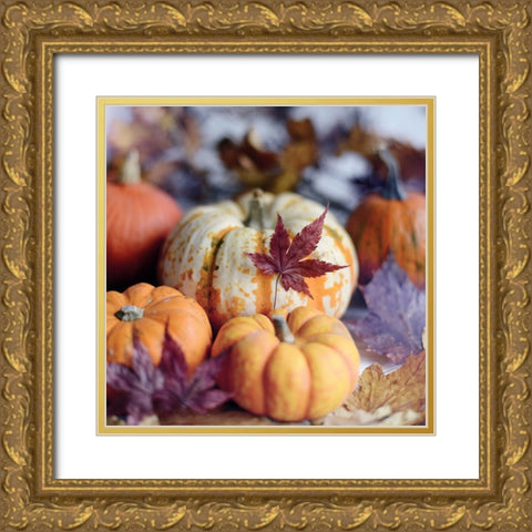 A Bright Harvest II Gold Ornate Wood Framed Art Print with Double Matting by Gardner, Sarah