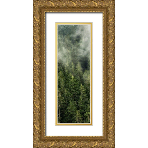 Smoky Forest Panel II Gold Ornate Wood Framed Art Print with Double Matting by Amos, Andy