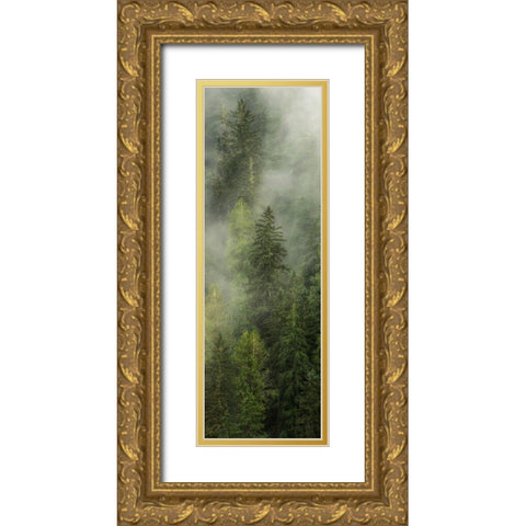 Smoky Forest Panel I Gold Ornate Wood Framed Art Print with Double Matting by Amos, Andy