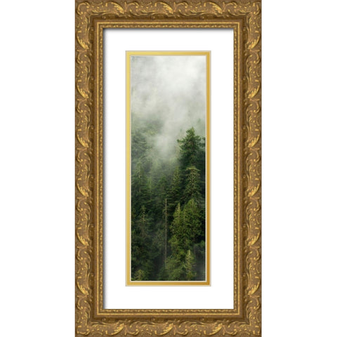 Smoky Forest Panel III Gold Ornate Wood Framed Art Print with Double Matting by Amos, Andy