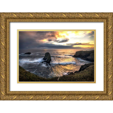 Pacific Cove Gold Ornate Wood Framed Art Print with Double Matting by Amos, Andy