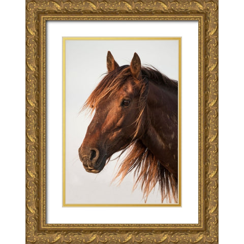 Brown Steed Gold Ornate Wood Framed Art Print with Double Matting by Walker, Carol