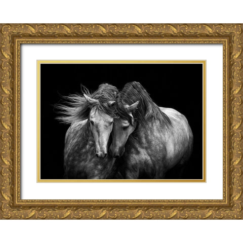 Horses in Love Gold Ornate Wood Framed Art Print with Double Matting by Walker, Carol