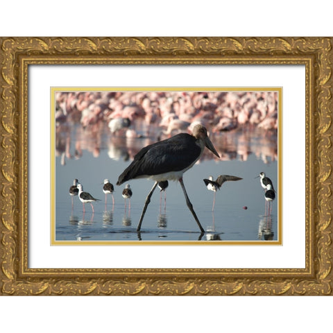 Among the Flock I Gold Ornate Wood Framed Art Print with Double Matting by Walker, Carol