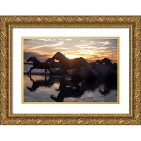 Coastal Horses Gold Ornate Wood Framed Art Print with Double Matting by Walker, Carol
