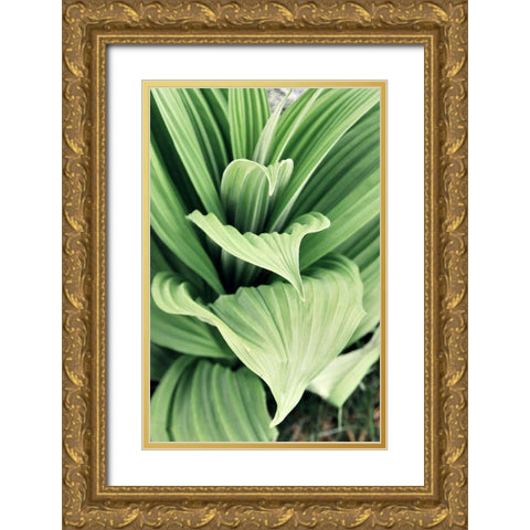 Green Leaf Blooms I Gold Ornate Wood Framed Art Print with Double Matting by Mansfield, Kathy
