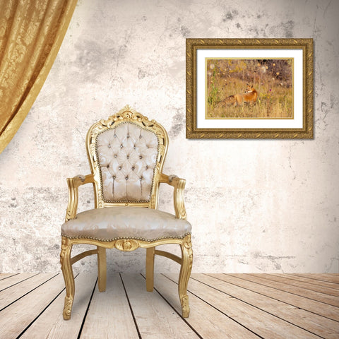 Fox Field II Gold Ornate Wood Framed Art Print with Double Matting by Mansfield, Kathy