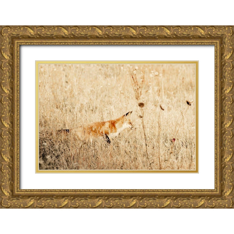 Hide and Hunt Gold Ornate Wood Framed Art Print with Double Matting by Mansfield, Kathy