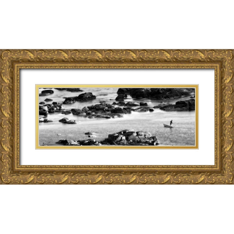 Among the Rocks Gold Ornate Wood Framed Art Print with Double Matting by Niassa Lion Project