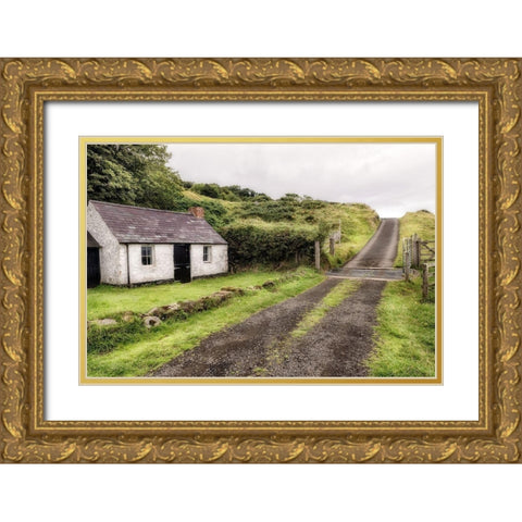 Countryside Gold Ornate Wood Framed Art Print with Double Matting by Amos, Andy