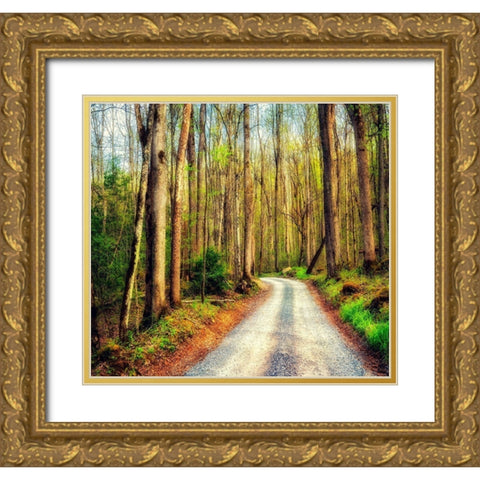 Wood Path Gold Ornate Wood Framed Art Print with Double Matting by Amos, Andy