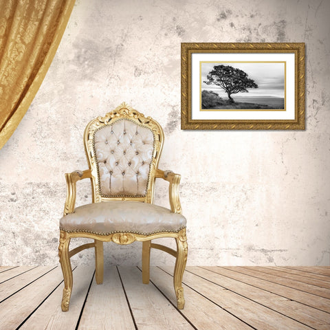 Bonsai Tree Gold Ornate Wood Framed Art Print with Double Matting by Amos, Andy