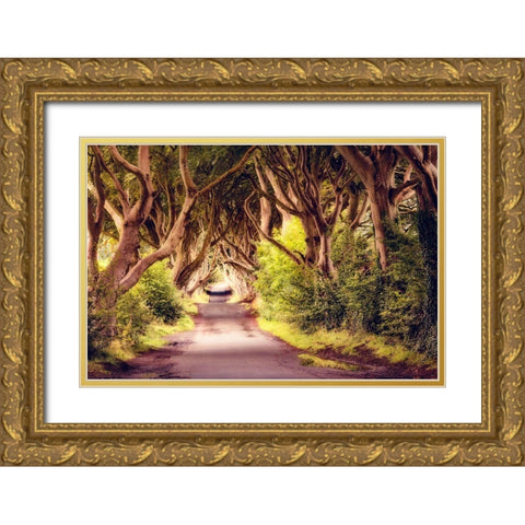 Wicked Trees Path Gold Ornate Wood Framed Art Print with Double Matting by Amos, Andy
