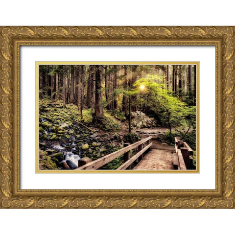 Nature Trails Gold Ornate Wood Framed Art Print with Double Matting by Amos, Andy