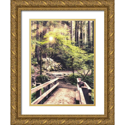 Sunlight on the Forest Path Gold Ornate Wood Framed Art Print with Double Matting by Amos, Andy