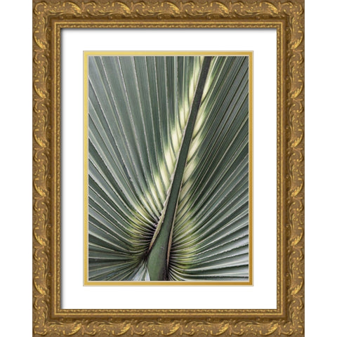 Organic Palm II Gold Ornate Wood Framed Art Print with Double Matting by Amos, Andy