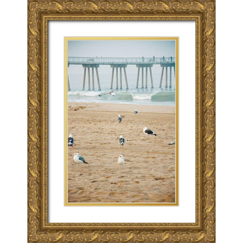 Seagull Coast Gold Ornate Wood Framed Art Print with Double Matting by Bill Carson Photography