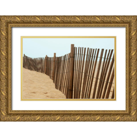 Beach Views Gold Ornate Wood Framed Art Print with Double Matting by Bill Carson Photography