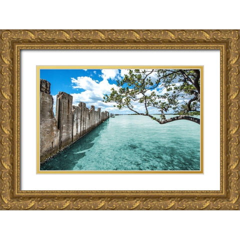 Crystal Clear Paradise Gold Ornate Wood Framed Art Print with Double Matting by Bill Carson Photography