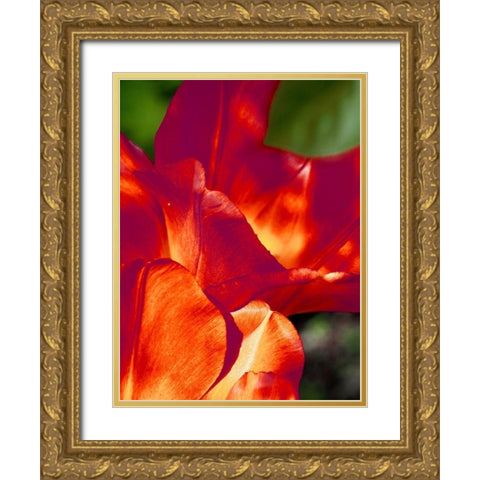 Romantic Tulips II Gold Ornate Wood Framed Art Print with Double Matting by Peck, Gail