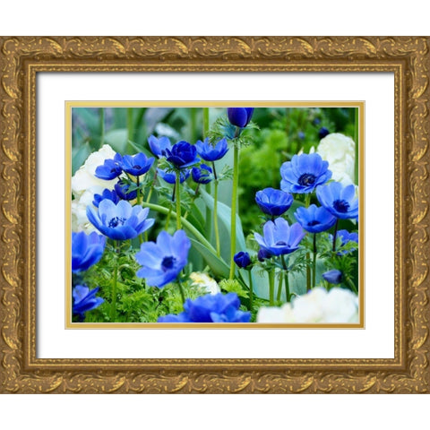 Vibrant Blue Hues Gold Ornate Wood Framed Art Print with Double Matting by Peck, Gail