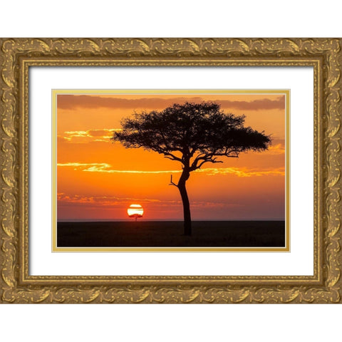 African Sunset II Gold Ornate Wood Framed Art Print with Double Matting by Jimmyz