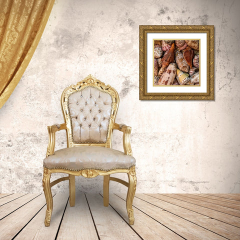 Mini Conch Shells II Gold Ornate Wood Framed Art Print with Double Matting by Amos, Andy