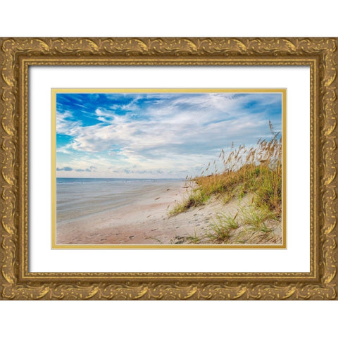 Afternoon Breeze Gold Ornate Wood Framed Art Print with Double Matting by Amos, Andy