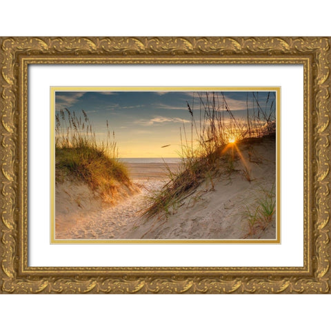 Coastal Dunes Gold Ornate Wood Framed Art Print with Double Matting by Amos, Andy