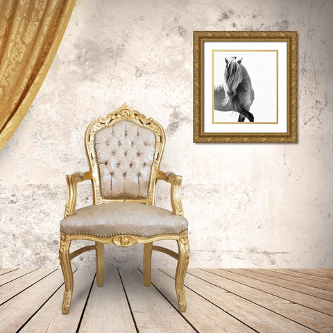 BW Stunning Stallion Gold Ornate Wood Framed Art Print with Double Matting by Walker, Carol