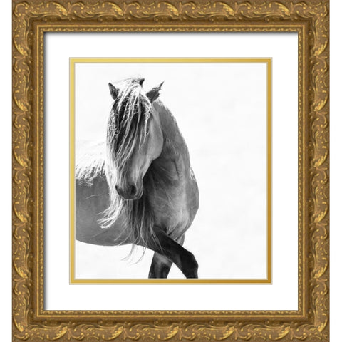 BW Stunning Stallion Gold Ornate Wood Framed Art Print with Double Matting by Walker, Carol