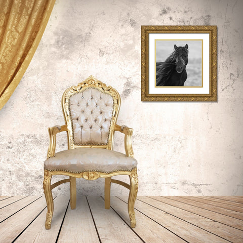 Icelandic Mare Gold Ornate Wood Framed Art Print with Double Matting by Walker, Carol