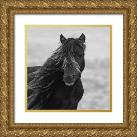 Icelandic Mare Gold Ornate Wood Framed Art Print with Double Matting by Walker, Carol