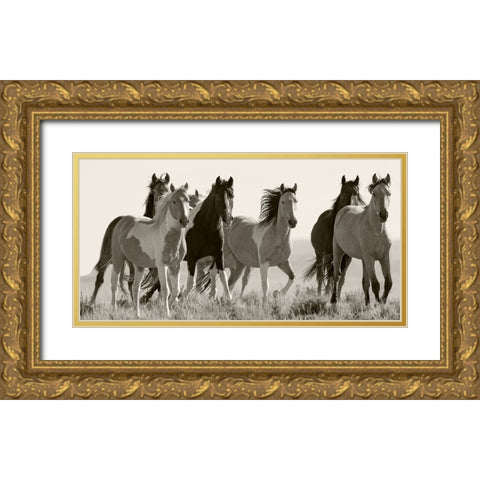 Black And White Horses in the Wild Gold Ornate Wood Framed Art Print with Double Matting by Walker, Carol