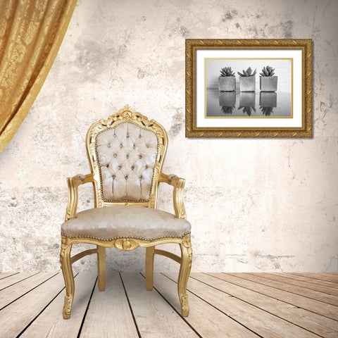 Potted Succulent Gold Ornate Wood Framed Art Print with Double Matting by Bill Carson Photography