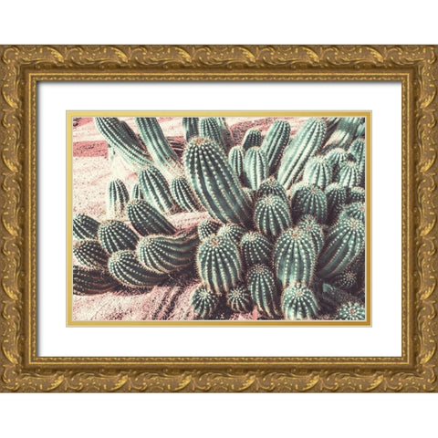 Cactus Muted Burst Gold Ornate Wood Framed Art Print with Double Matting by Bill Carson Photography