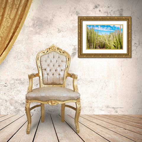 Cactus Garden Gold Ornate Wood Framed Art Print with Double Matting by Bill Carson Photography