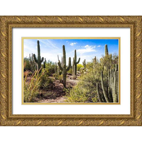 Into the Desert Gold Ornate Wood Framed Art Print with Double Matting by Bill Carson Photography