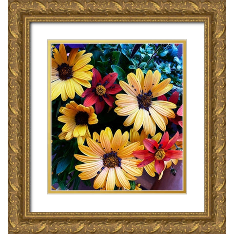 Colorful Bunch Gold Ornate Wood Framed Art Print with Double Matting by Coppel, Anna