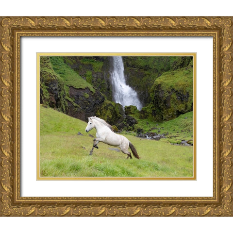 Waterfull Run Gold Ornate Wood Framed Art Print with Double Matting by Walker, Carol