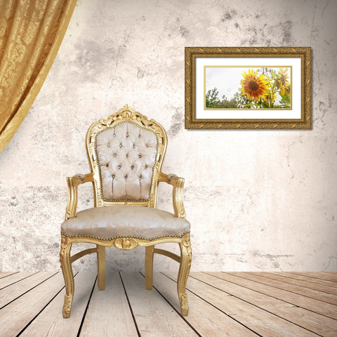 Summer Sunflower I Gold Ornate Wood Framed Art Print with Double Matting by Wilson, Kali