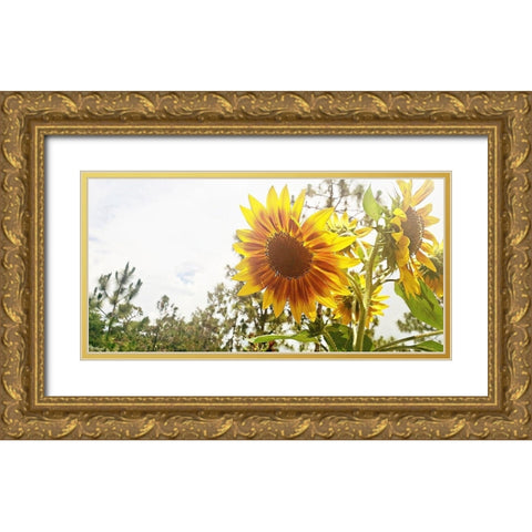 Summer Sunflower I Gold Ornate Wood Framed Art Print with Double Matting by Wilson, Kali