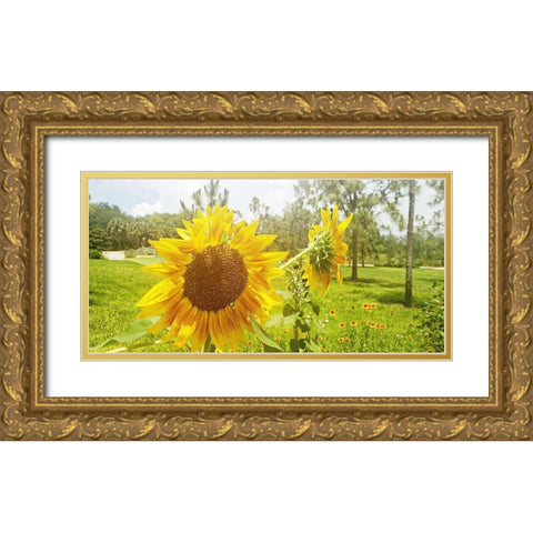 Summer Sunflower II Gold Ornate Wood Framed Art Print with Double Matting by Wilson, Kali