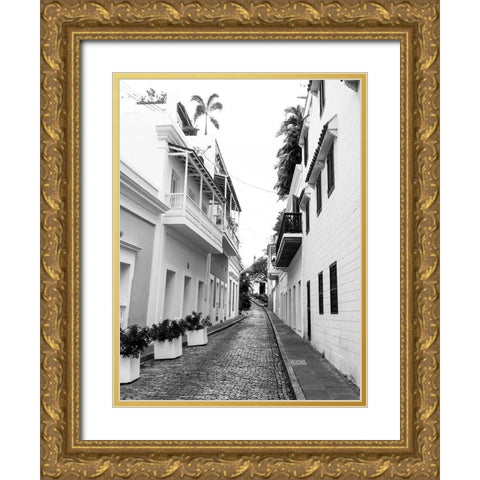 Viejo San Juan II Gold Ornate Wood Framed Art Print with Double Matting by Acosta