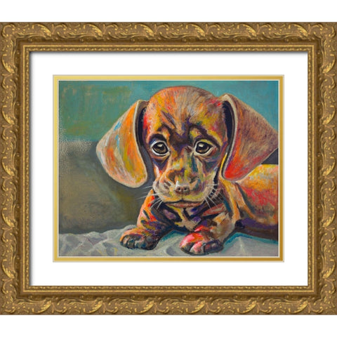 Puppy Face Gold Ornate Wood Framed Art Print with Double Matting by Beauchamp, Andy