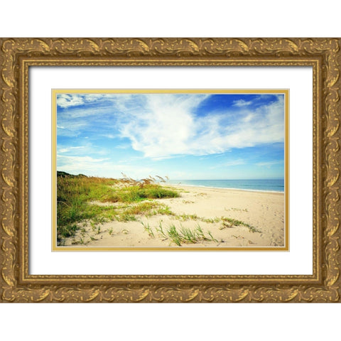 Shores View Gold Ornate Wood Framed Art Print with Double Matting by Bucheli, Jen