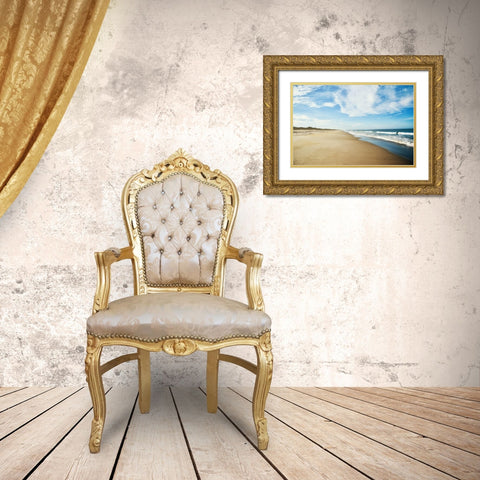 Coastal Shores Gold Ornate Wood Framed Art Print with Double Matting by Bucheli, Jen