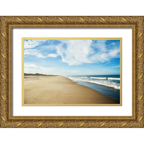 Coastal Shores Gold Ornate Wood Framed Art Print with Double Matting by Bucheli, Jen